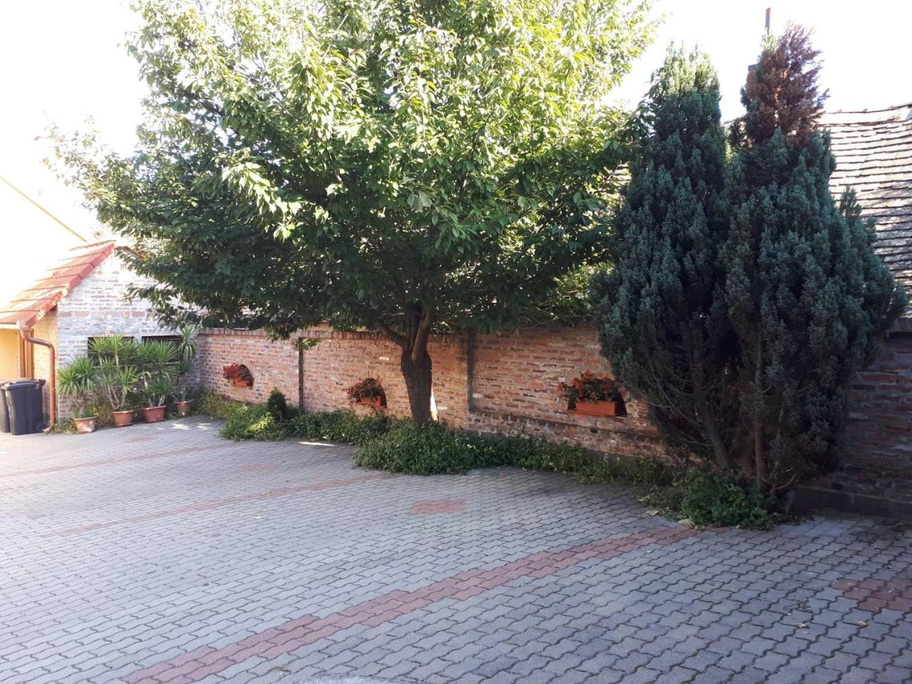 Eckhardt Vendégház Villány Exterior foto